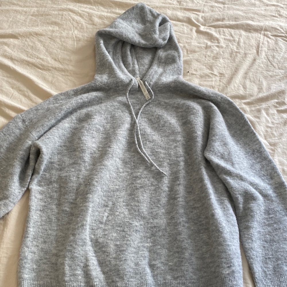 Aritzia Babaton oversized hoodie